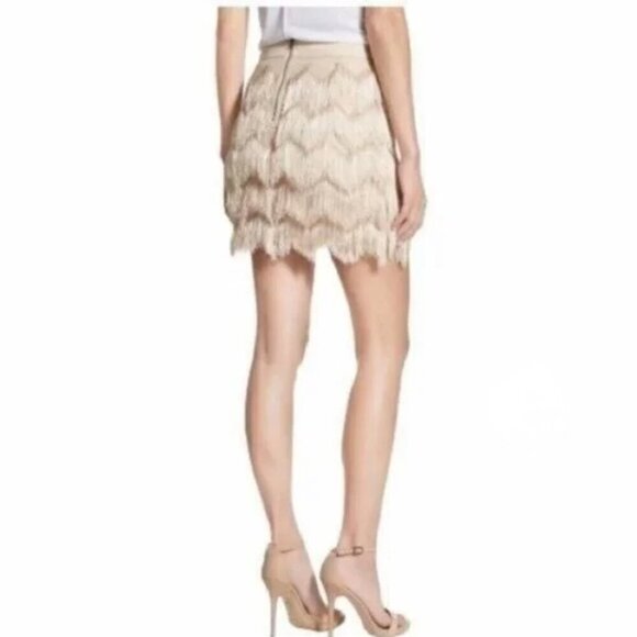 Ella Moss Champagne Fringe Mini Skirt Size 2 NWT $158 MSRP Flapper Party Skirt - Picture 6 of 13